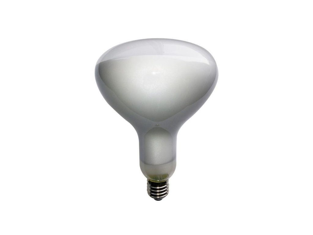 Light41