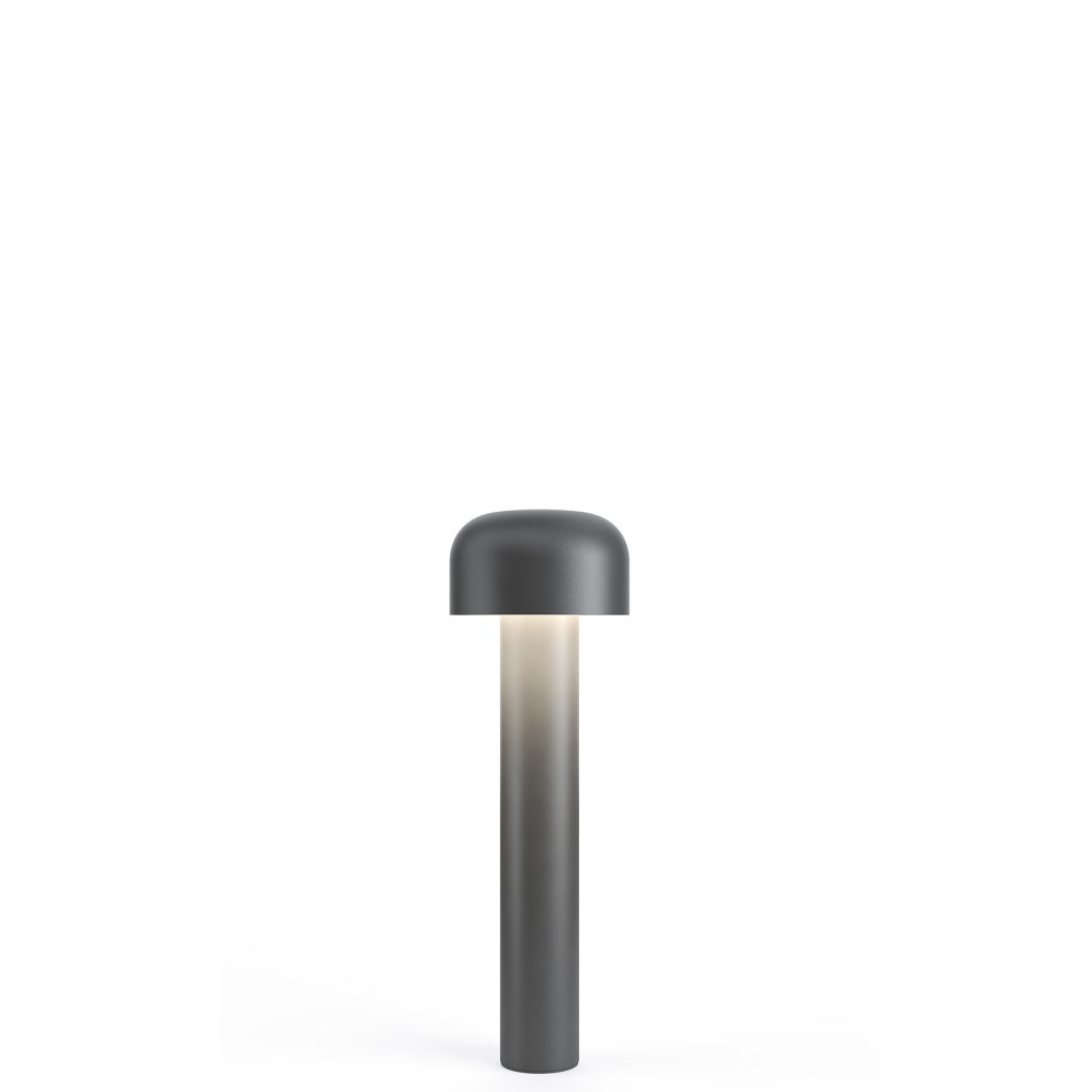Light41