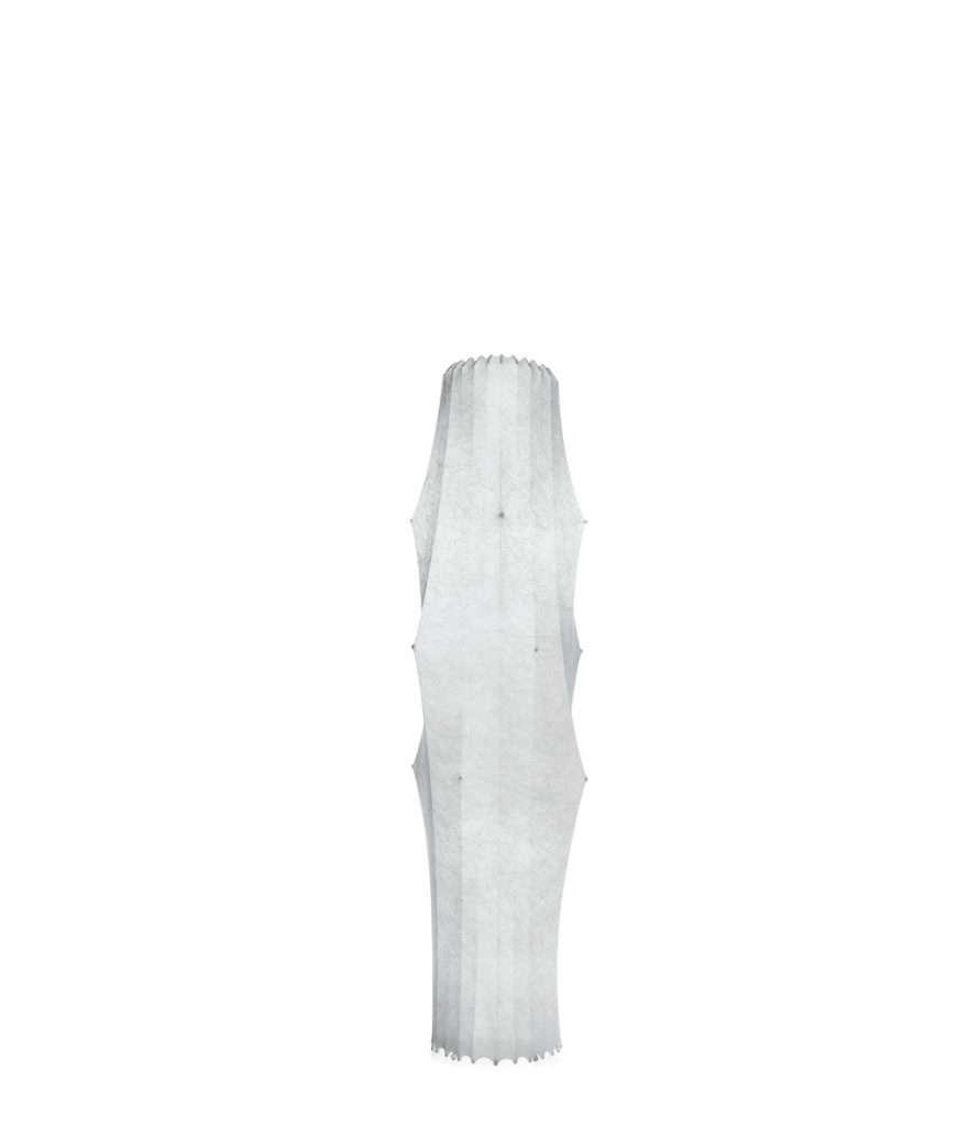 Light41