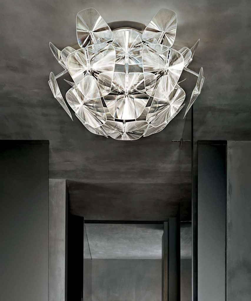 Light41