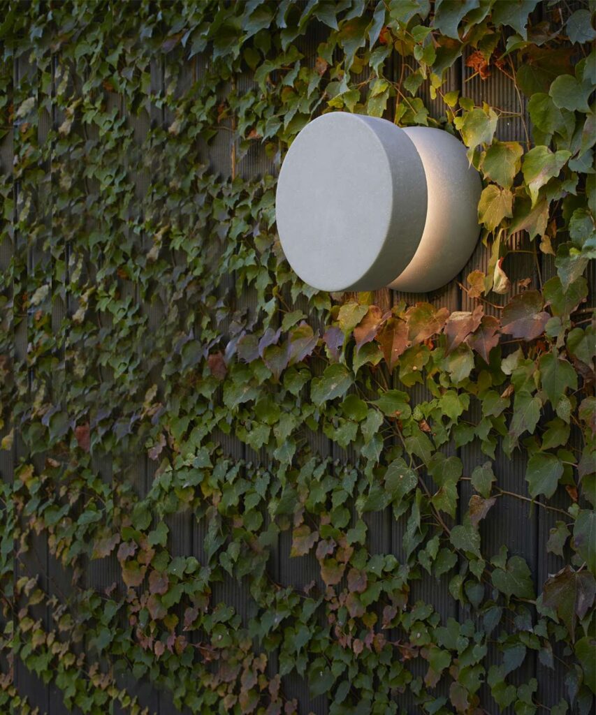 Light41